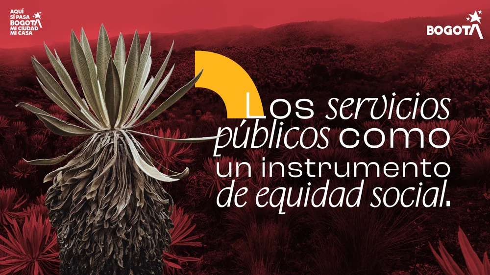Noticia 3