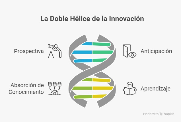 Hélice innovación