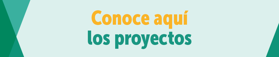 Conoce aqui los proyectos