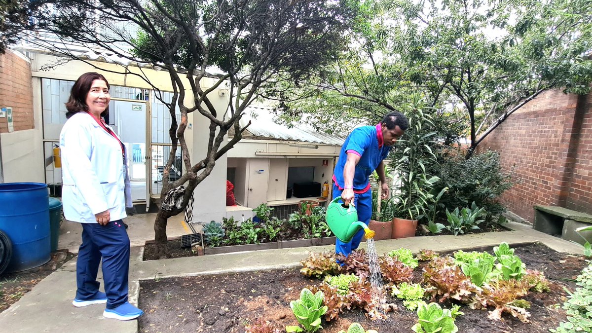 Huertas Ciudad Bolivar