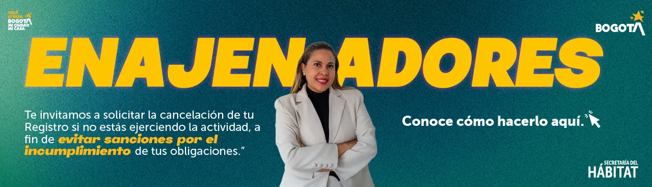 Estados financieros enajenadores