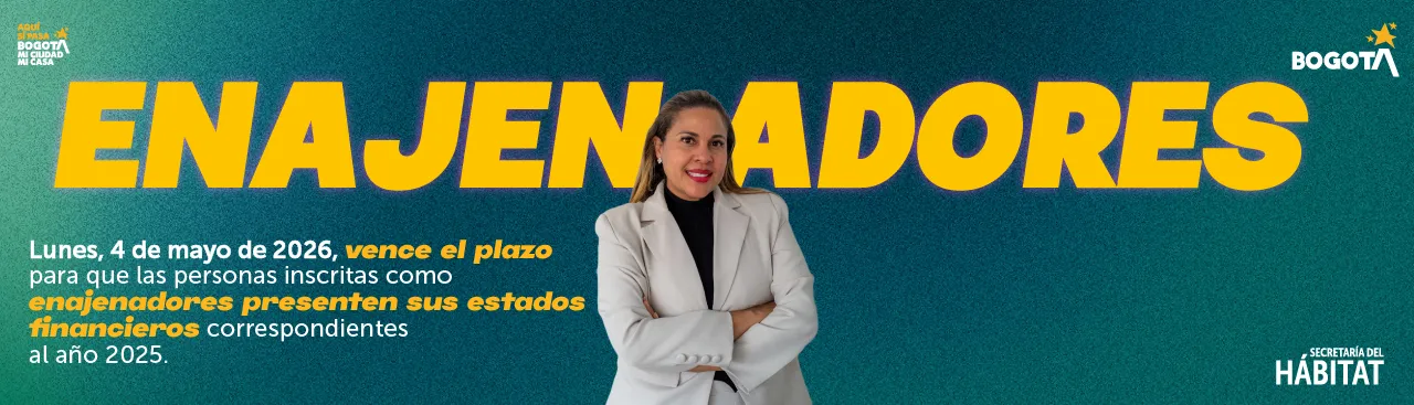 Estados financieros enajenadores